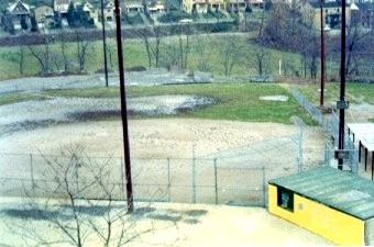 Picture#1 - old fields.