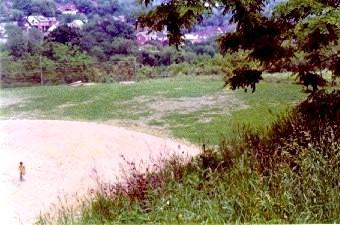 Picture#3 - old fields.