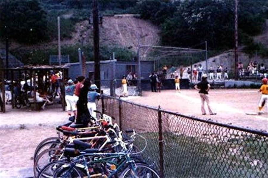 The old fields in 1981.
