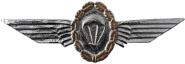 West German Parachutist Wings