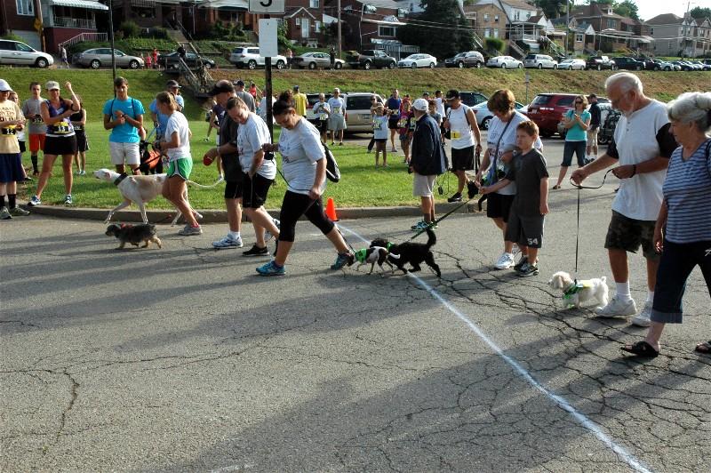 The pooches are off on their stroll.