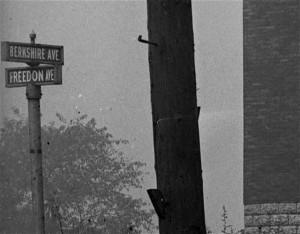 Freedom Avenue and Berkshire Avenue street sign
Note the mispelling - 'Freedon Avenue' - 1924