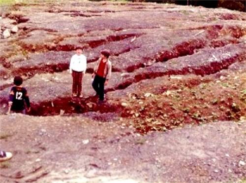 Landscape behind ballfields.